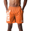 Clemson Tigers NCAA Mens Solid Wordmark Traditional Swimming Trunks