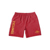Iowa State Cyclones NCAA Mens Solid Wordmark Traditional Swimming Trunks