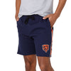 Chicago Bears NFL Mens Side Stripe Fleece Shorts