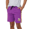 Minnesota Vikings NFL Mens Side Stripe Fleece Shorts