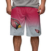 Arizona Cardinals NFL Mens Gradient Big Logo Training Shorts