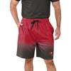 Tampa Bay Buccaneers NFL Mens Game Ready Gradient Training Shorts