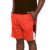 Cleveland Browns NFL Mens Side Stripe Training Shorts