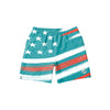 Miami Dolphins NFL Mens Americana Swimming Trunks