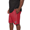 Atlanta Falcons NFL Mens Team Workout Training Shorts