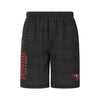 Tampa Bay Buccaneers NFL Mens Heathered Black Woven Liner Shorts