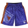 New York Rangers Big Logo Polyester Shorts