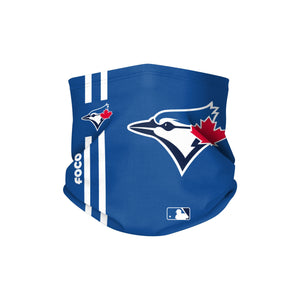 Men's Reyn Spooner Toronto Blue Jays Logo Straw Hat