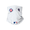 Chicago Cubs MLB Javier Baez On-Field Gameday Pinstripe Stitched Gaiter Scarf