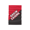 Louisiana Ragin' Cajuns NCAA Big Logo Gaiter Scarf