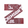 Alabama Crimson Tide NCAA Wordmark Big Logo Colorblend Scarf
