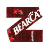 Cincinnati Bearcats NCAA Wordmark Big Logo Colorblend Scarf