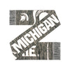 Michigan State Spartans NCAA Wordmark Big Logo Colorblend Scarf