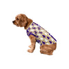 Washington Huskies NCAA Busy Block Dog Sweater