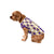 Washington Huskies NCAA Busy Block Dog Sweater