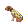 Los Angeles Chargers NFL Busy Block Dog Sweater