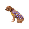 Minnesota Vikings NFL Busy Block Dog Sweater