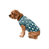Philadelphia Eagles NFL Busy Block Dog Sweater
